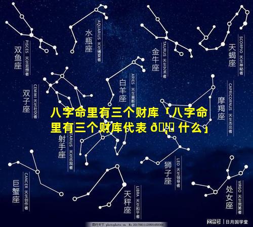 八字命里有三个财库「八字命里有三个财库代表 🦋 什么」